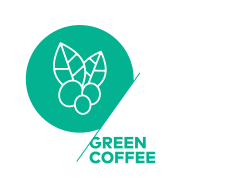 La Claque Ecole coffee green