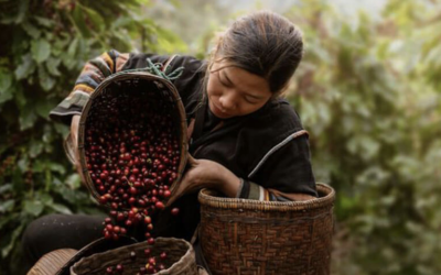 Le producteur de café