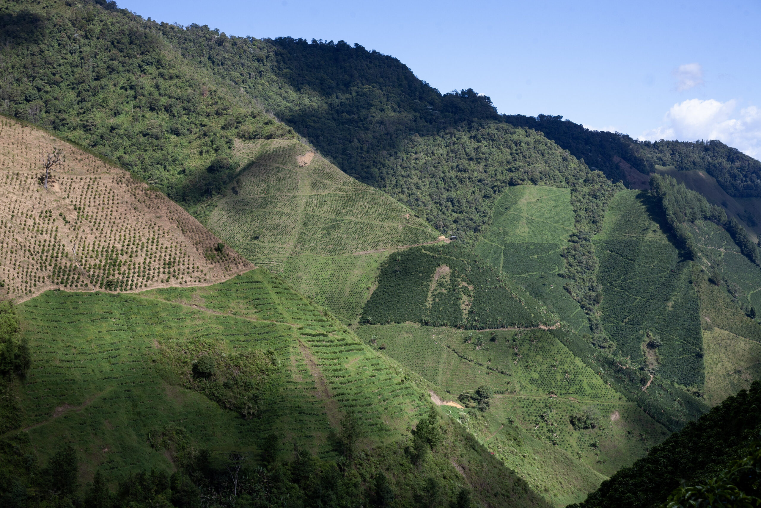 Voyage Colombie